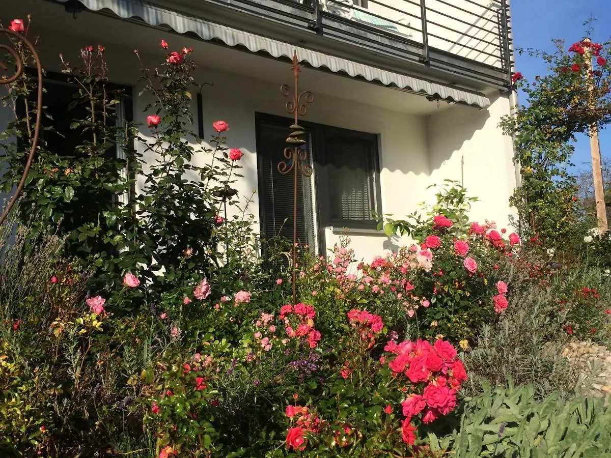 Stilvolles Studio im Allgäu Rettenbach am Auerberg Apartment